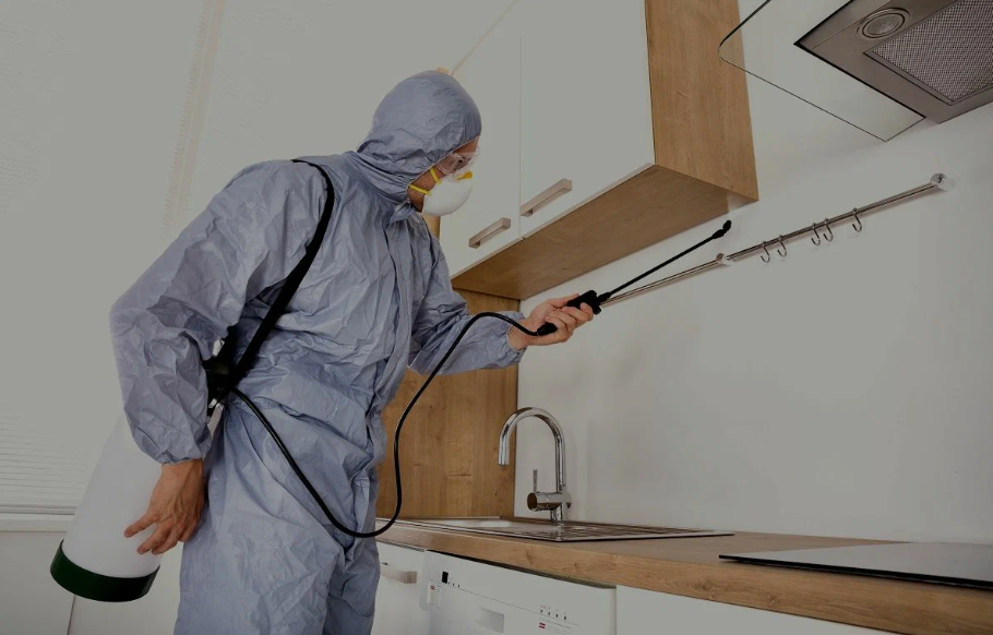 Morgan Hill pest managment